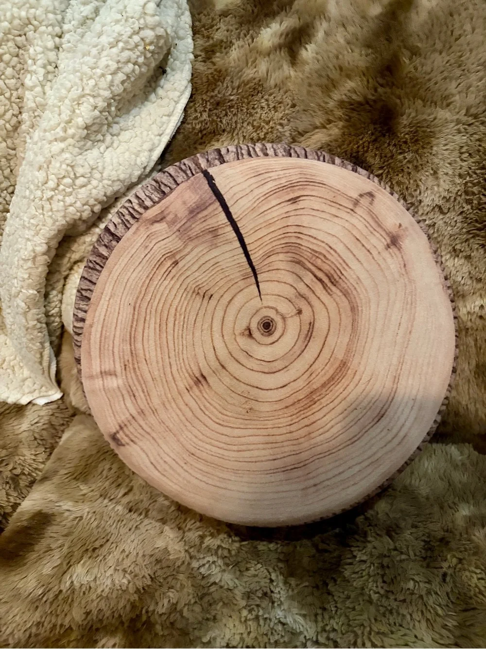 Rustic Wood Slice Round Throw Pillow | Faux Tree Stump Log Accent Cushion